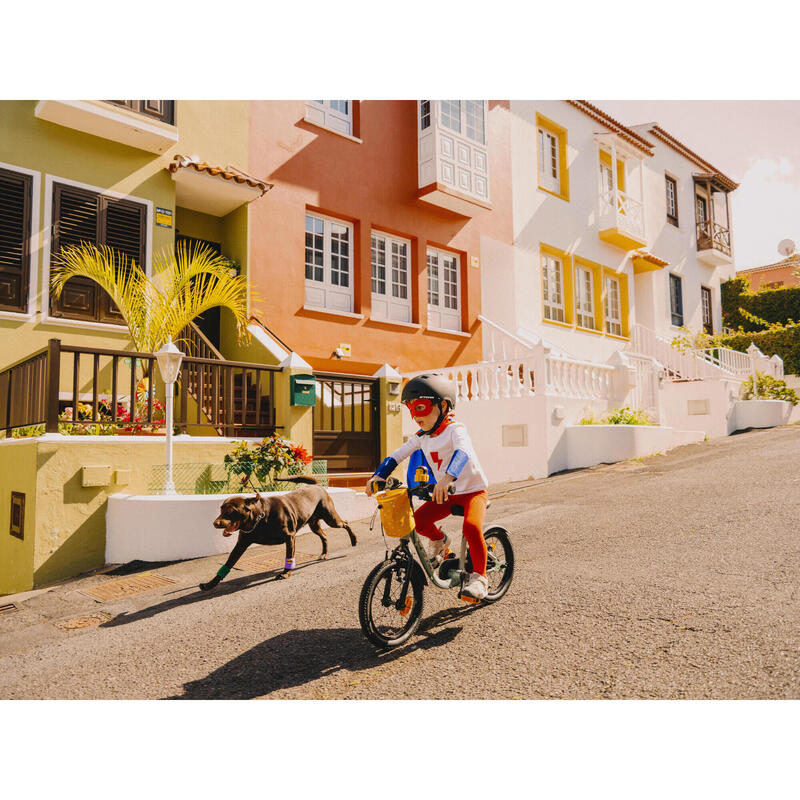 Bicicleta + Bici Sin Pedales 2 en 1 Discover 900 Niños 3-5 Años Verde 14"