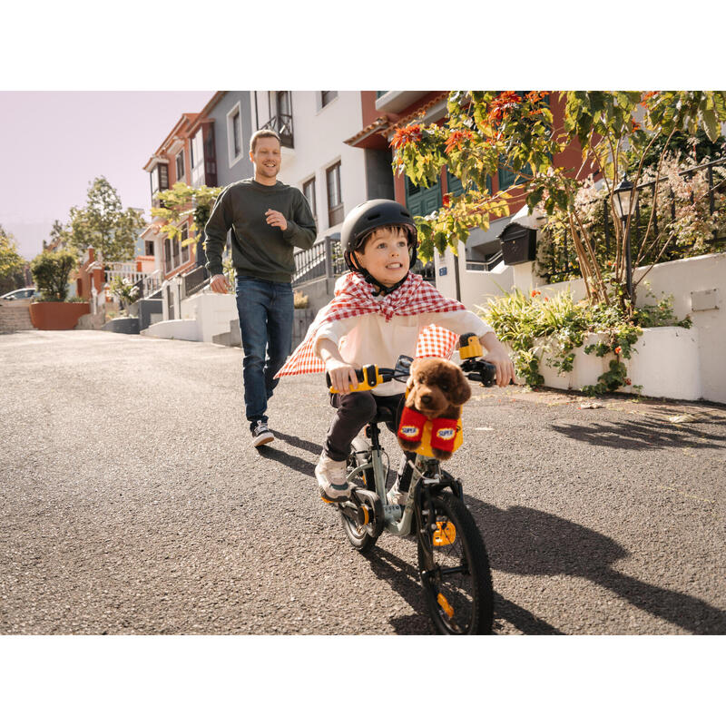 Kinderfahrrad 2-in-1 Laufrad 14 Zoll 3-5 Jahre Discover 900 grün 