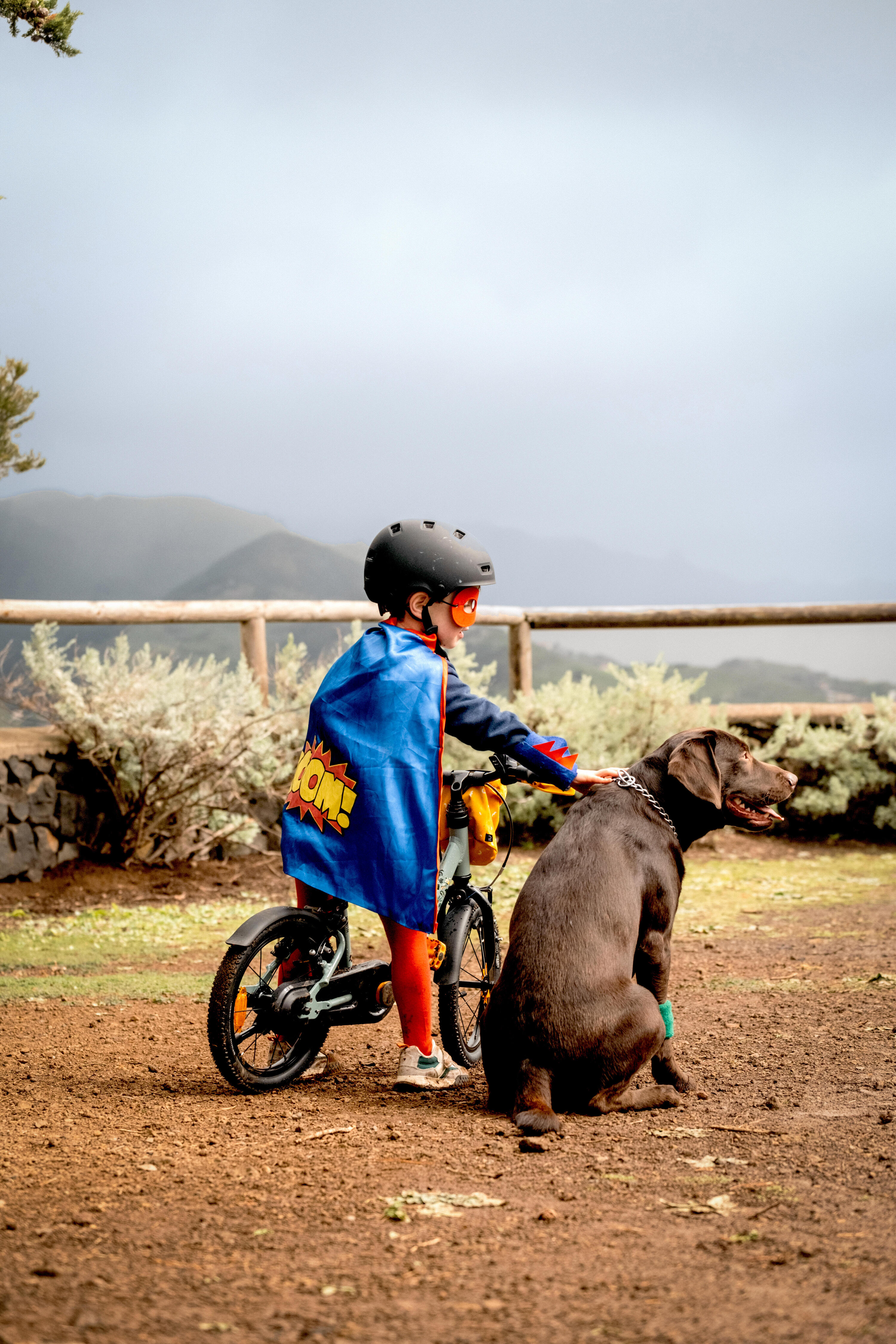 VELO ENFANT 2EN1 DRAISIENNE 3-5 ANS 14 pouces - DISCOVER 900  Vert 13/23