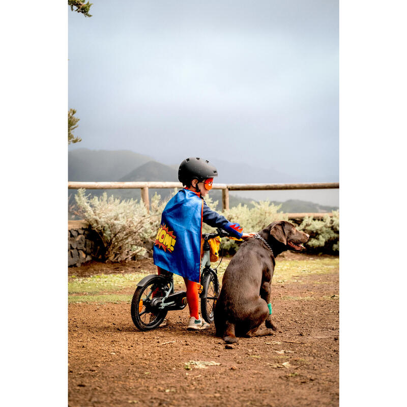 BICICLETA DE APRENDIZAGEM 2 EM 1 CRIANÇA 3-5 ANOS 14" DISCOVER 900 Verde