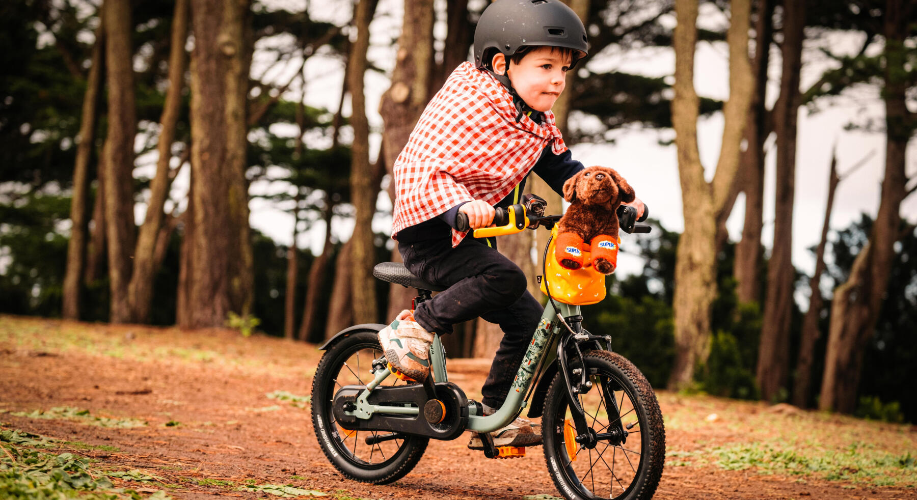 ¿Cómo enseñar a los niños a montar en bicicleta?