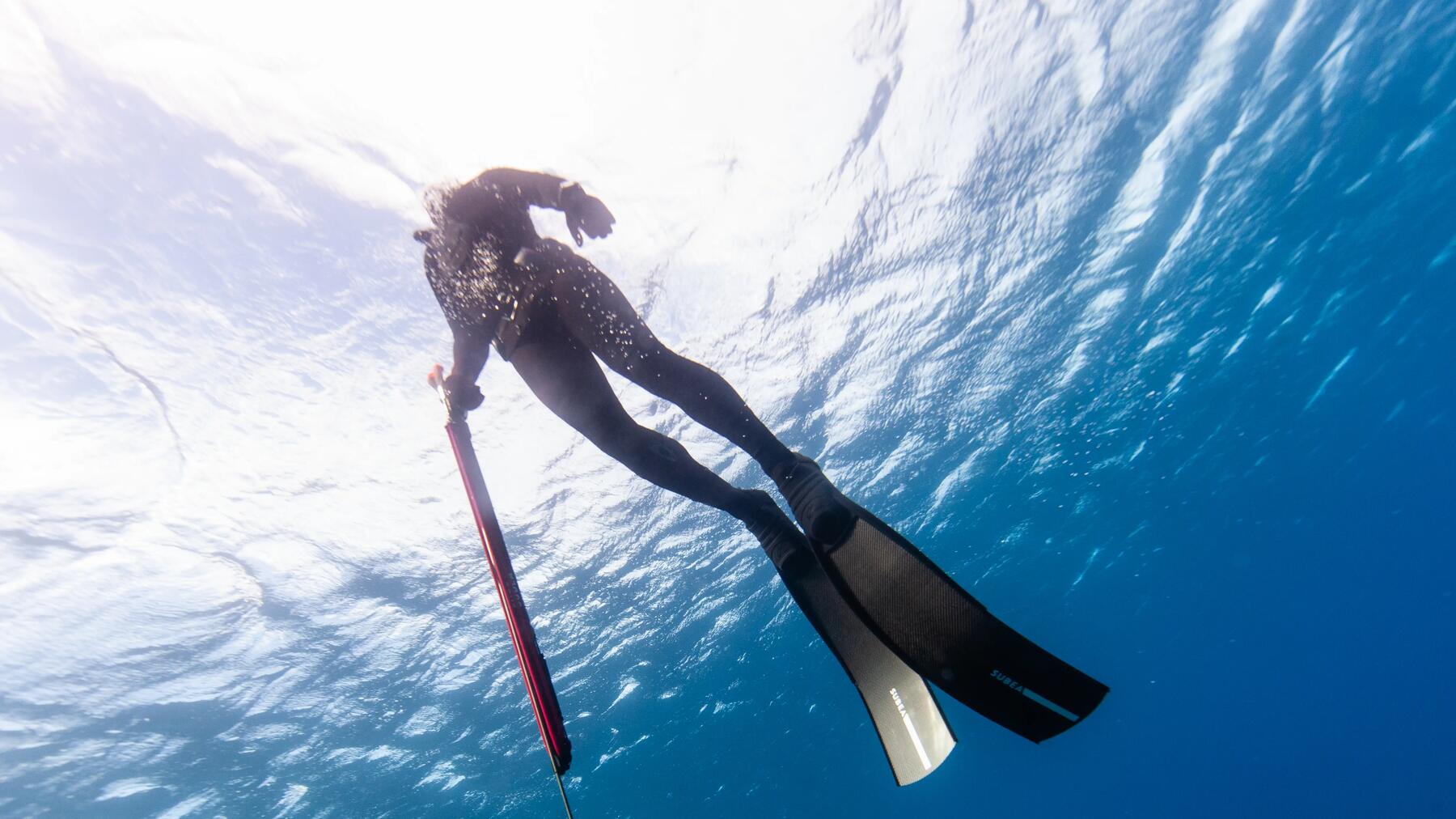 Comment choisir son lestage en chasse sous-marine ?