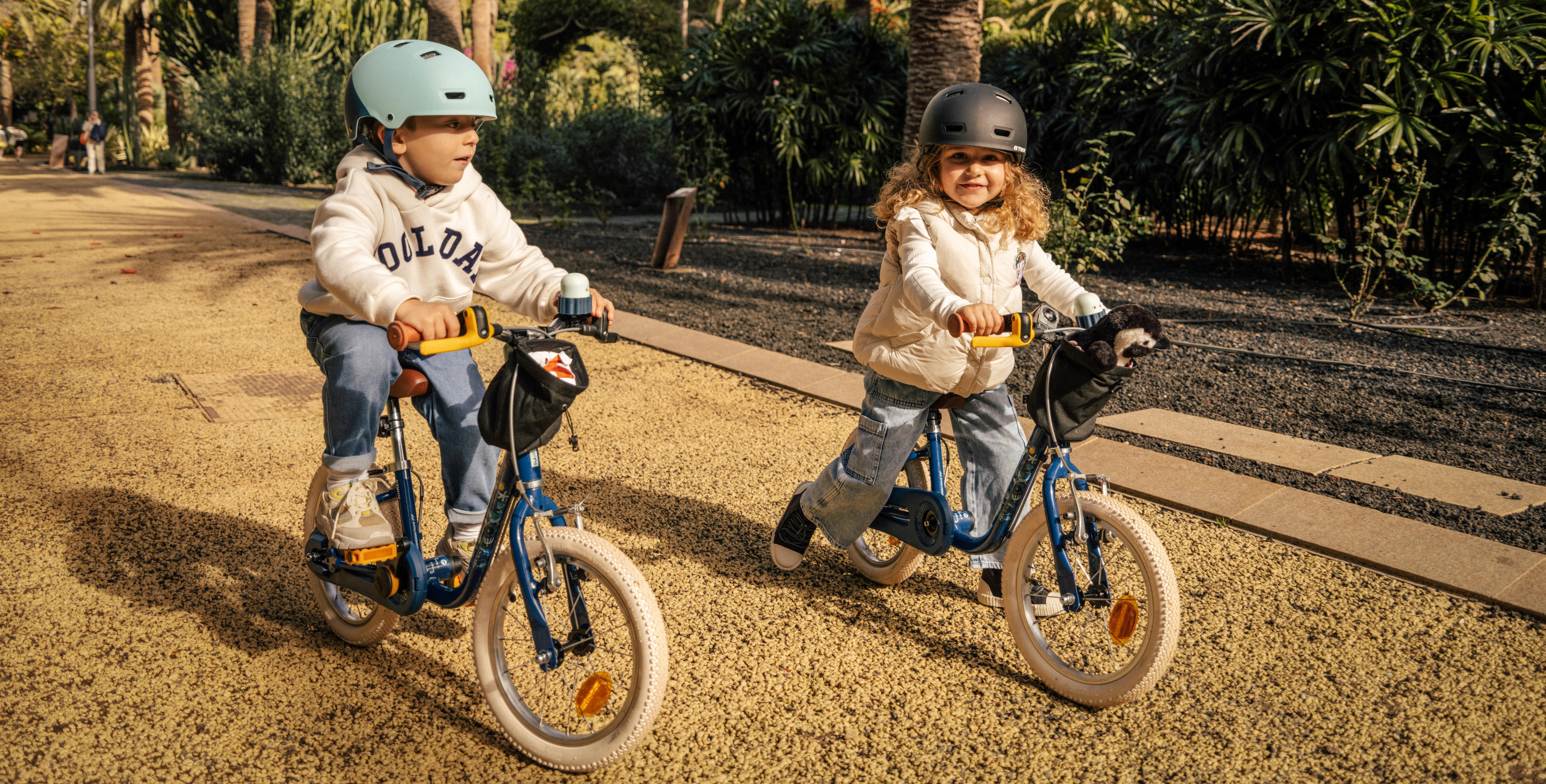 Istruzioni, manutenzione e riparazione: BICI BAMBINO 16 POLLICI DISCOVER