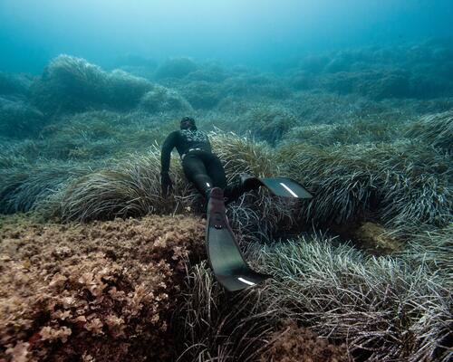 mężczyzna uprawiający freediving w płetwach i kombinezonie do freedivingu