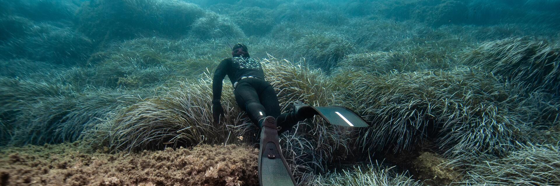 mężczyzna uprawiający freediving w płetwach i kombinezonie do freedivingu