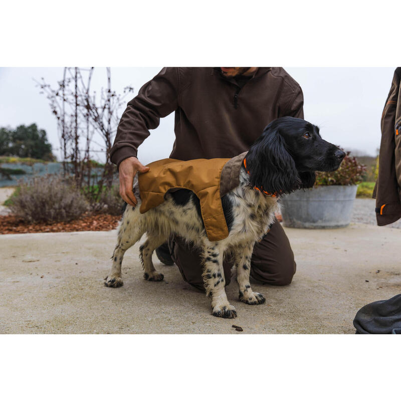 Gilet cane marrone