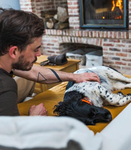 Un article qui parle du sommeil chez le chien