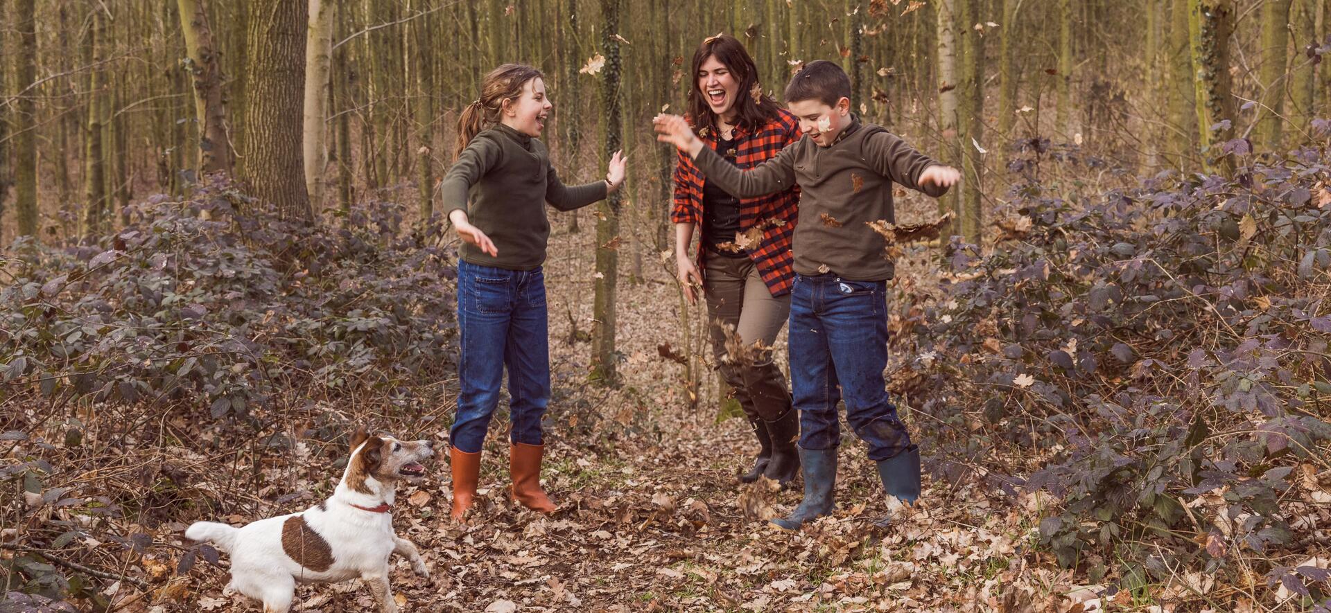 sphere media background sample