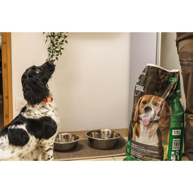 CROQUETTES CHIEN ADULT ESSENTIAL 12KG