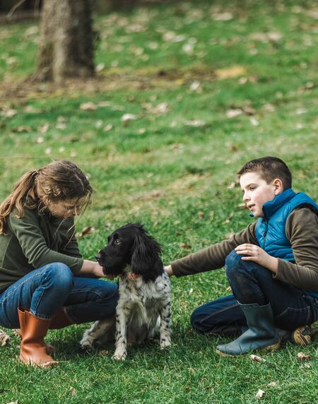 Un article qui donne des conseils pour bien accueillir un chien à la maison