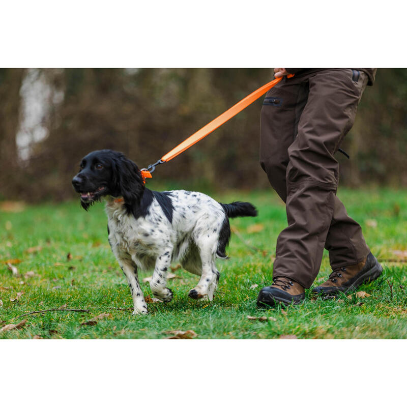 Trela para Cão 100 Laranja