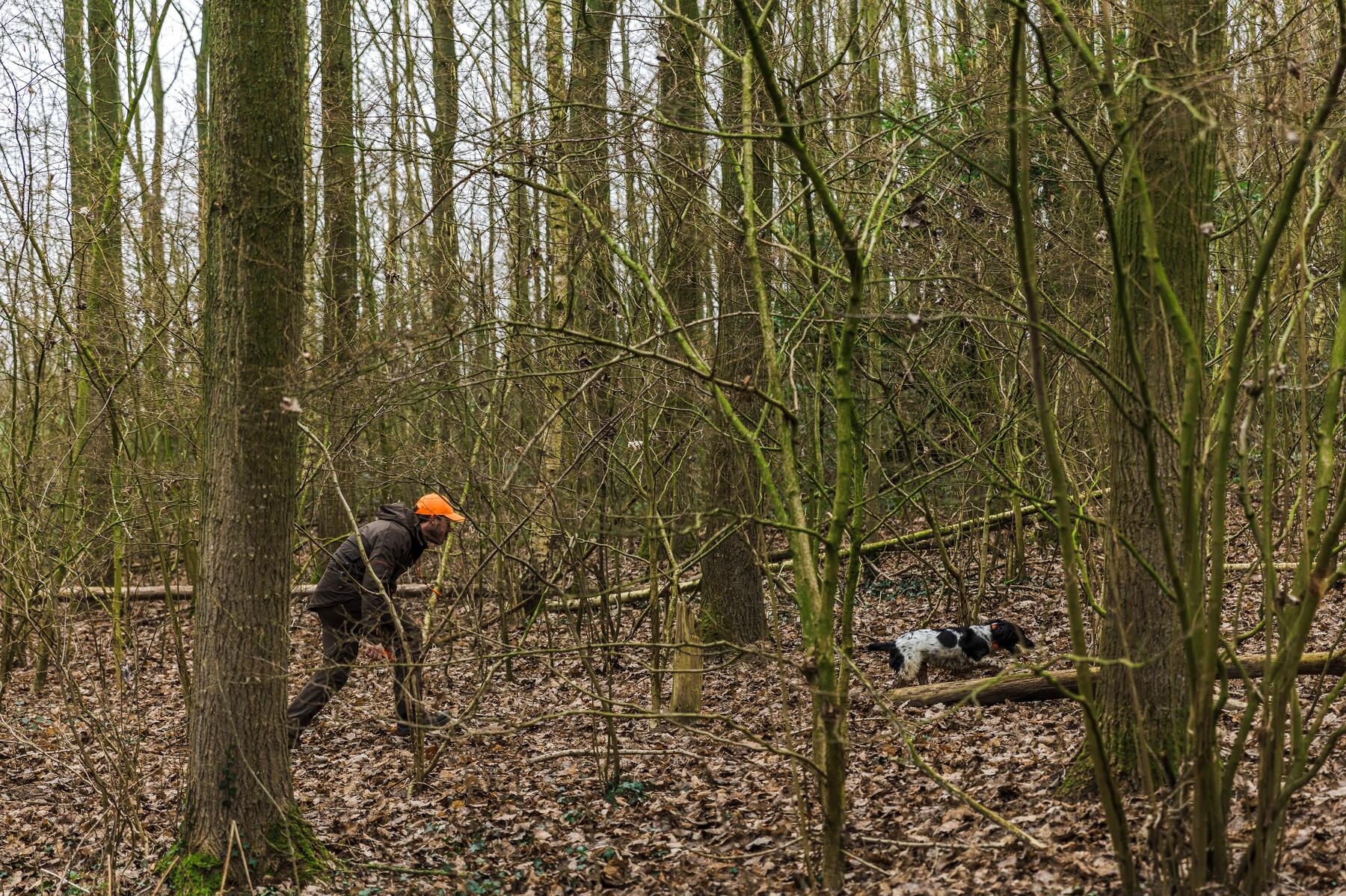 Hombre yendo a cazar con perro