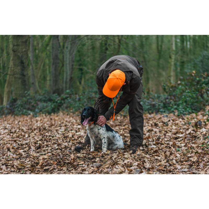 APITO PARA ADESTRAMENTO DE CÃO 500 LARANJA