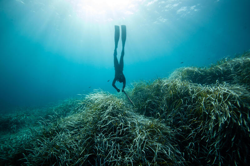 Freediving - nurkowanie na bezdechu - czym jest?