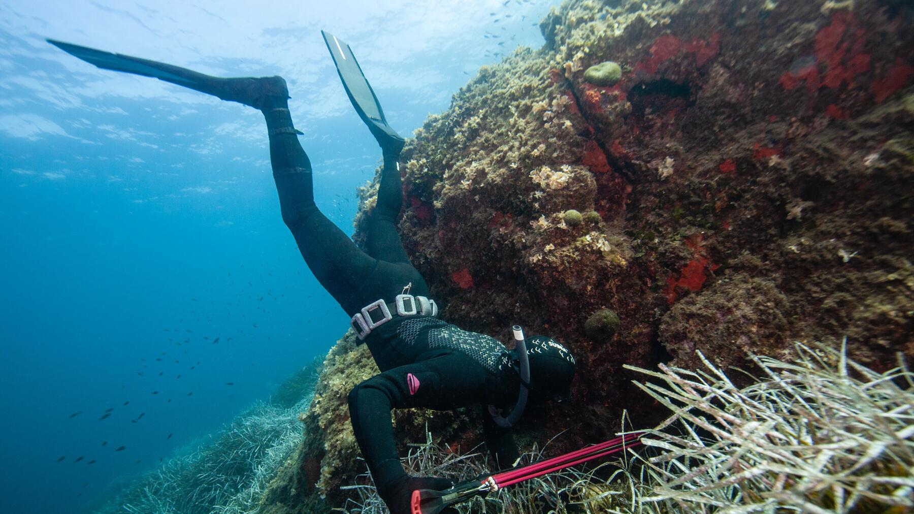 Comment choisir son arbalète de chasse sous-marine ? 