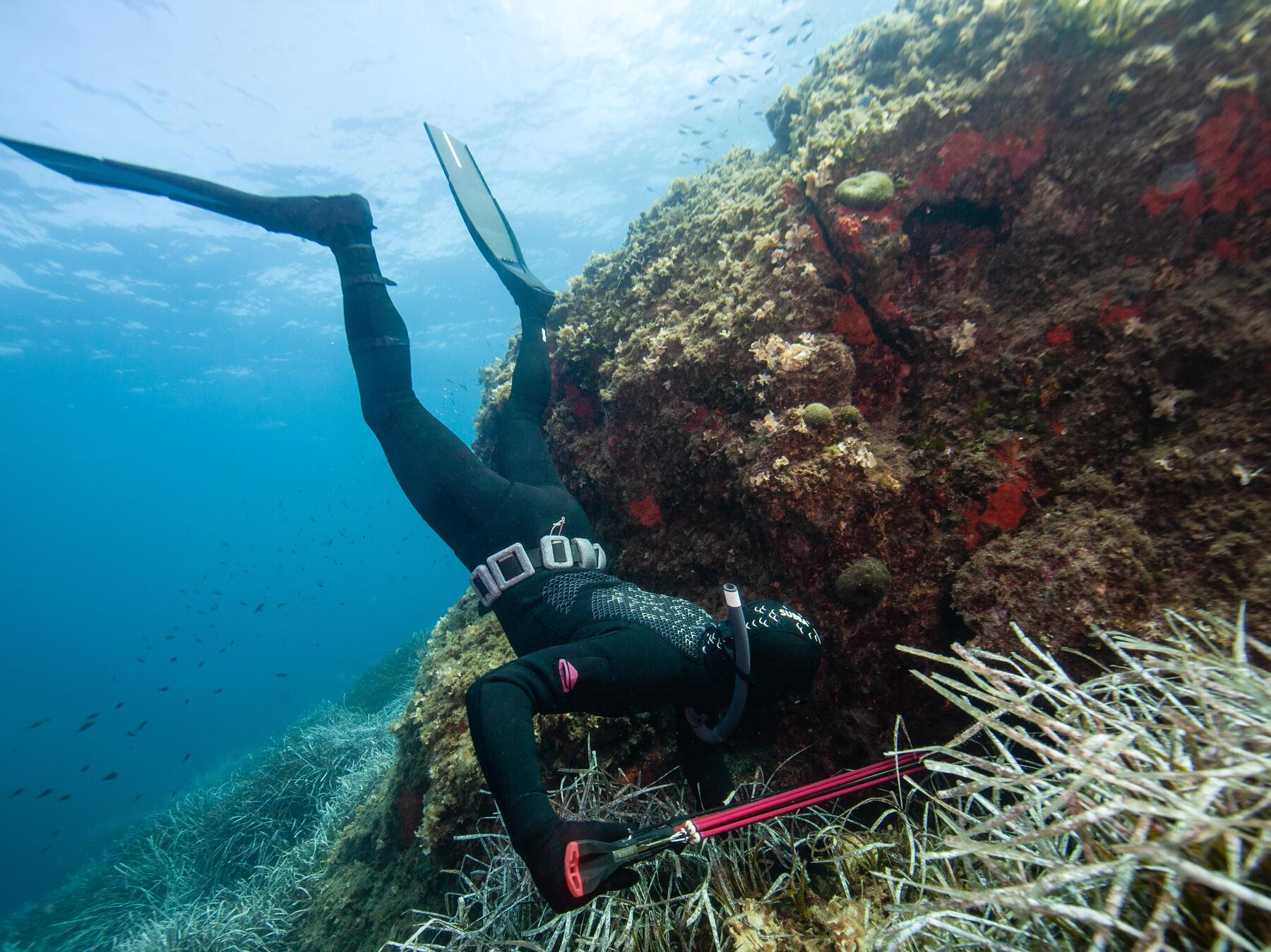 Leistungen des DECATHLON-Servicepoints für Tauchausrüstungen