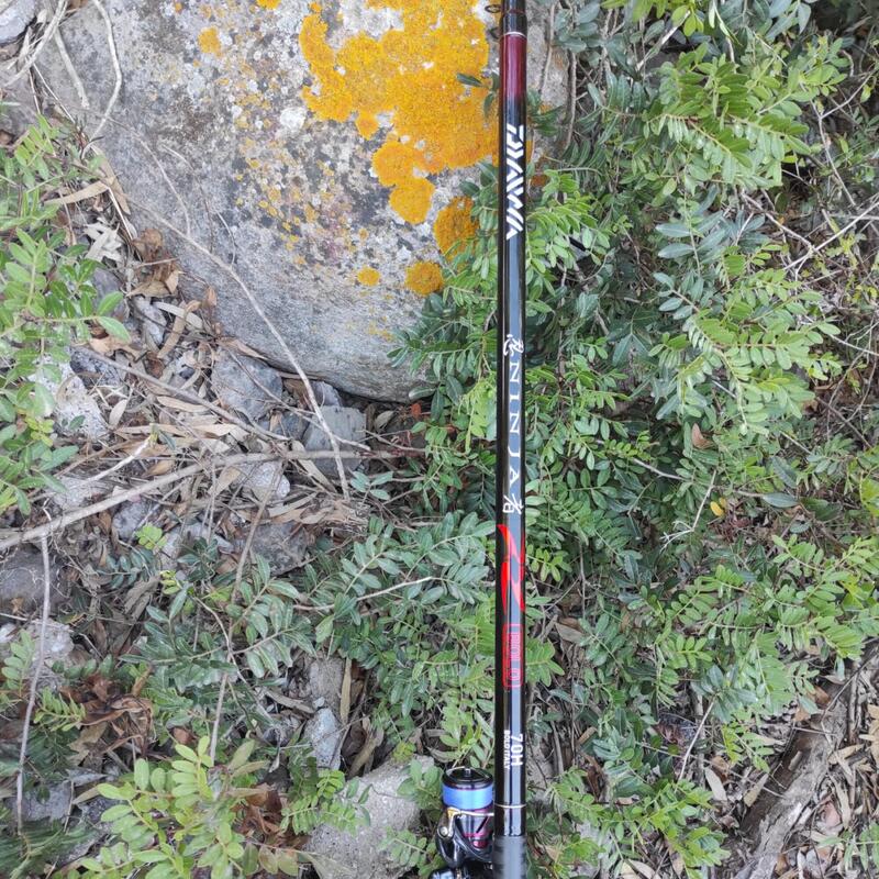 Canna bolognese Daiwa Ninja Bolo 7m