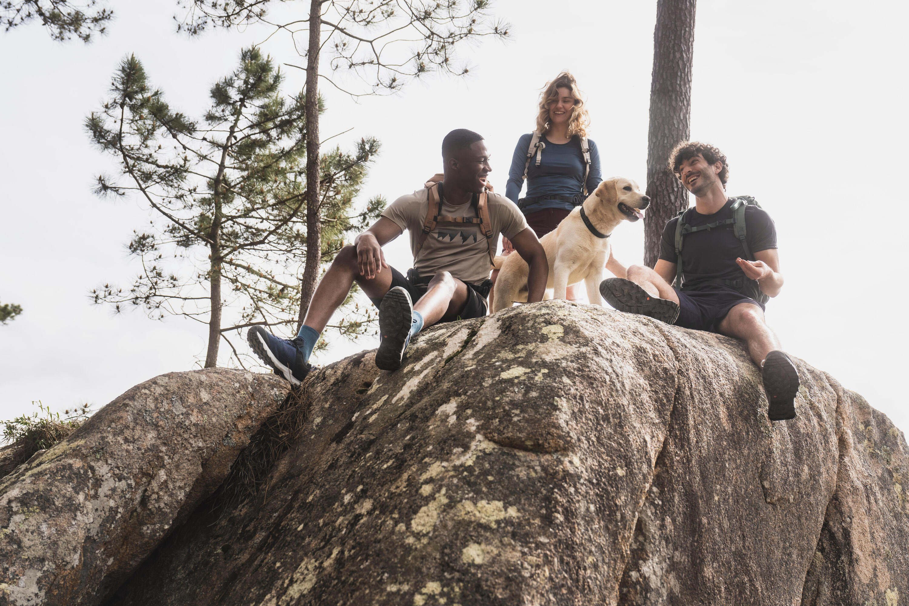 Wandershorts Herren Bergwandern ‒ MH100 blau 11/12