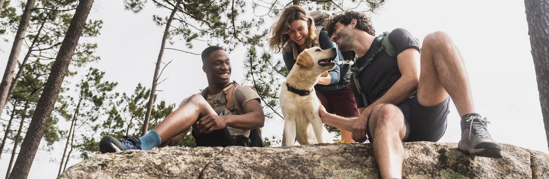 group of person with a dog