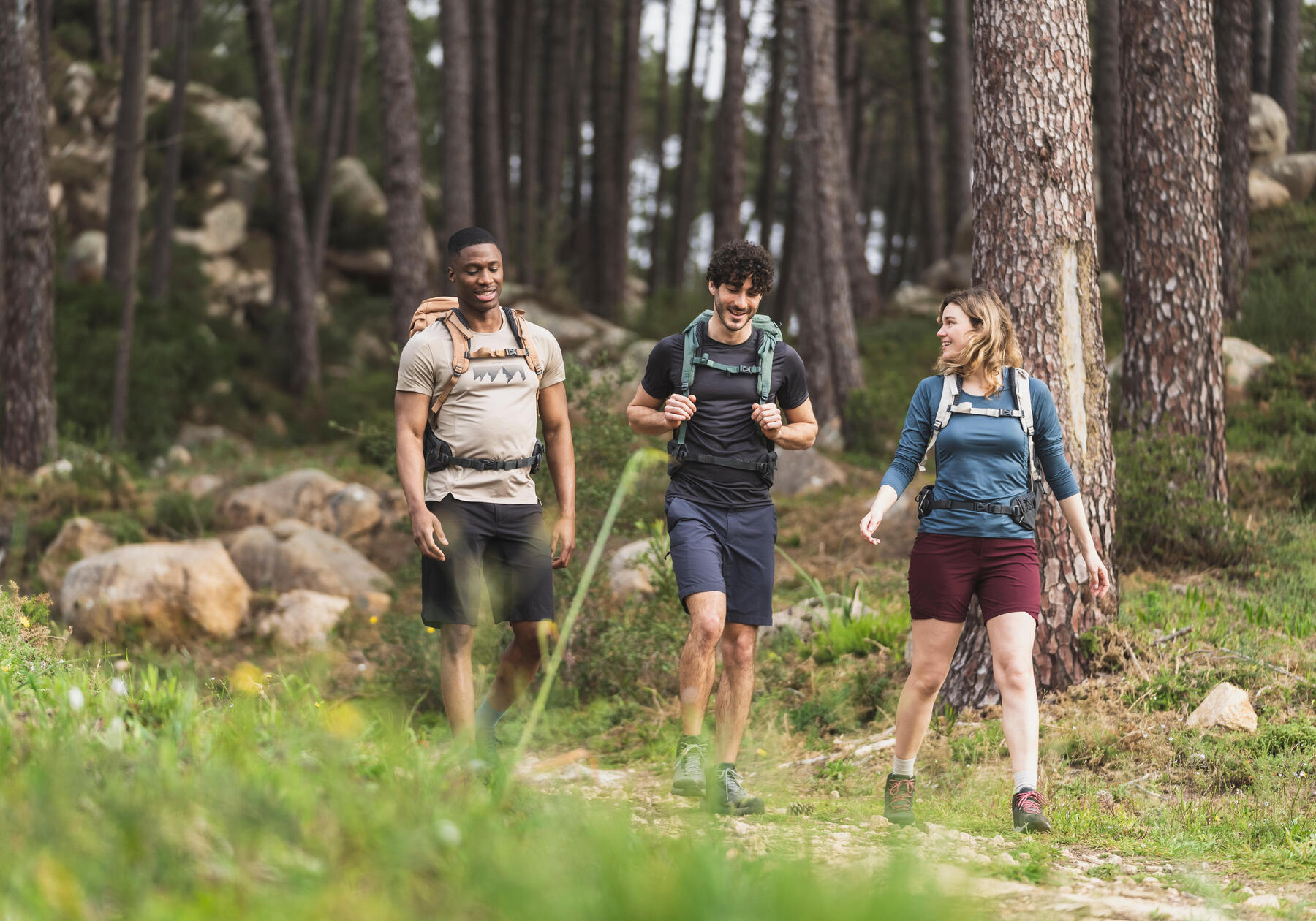 grupo de três pessoas a fazer uma caminhada na floresta