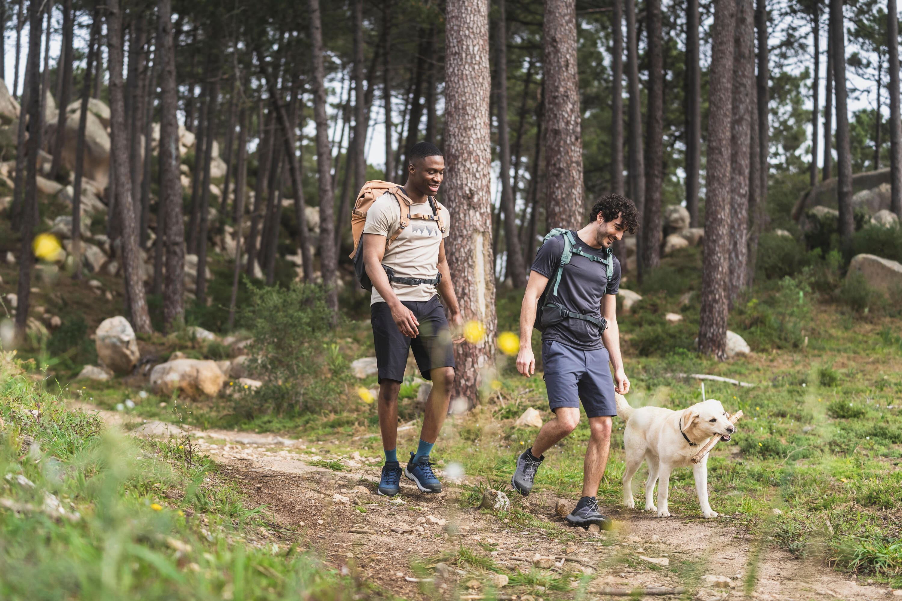 Pantaloncini trekking uomo MH500 3/4