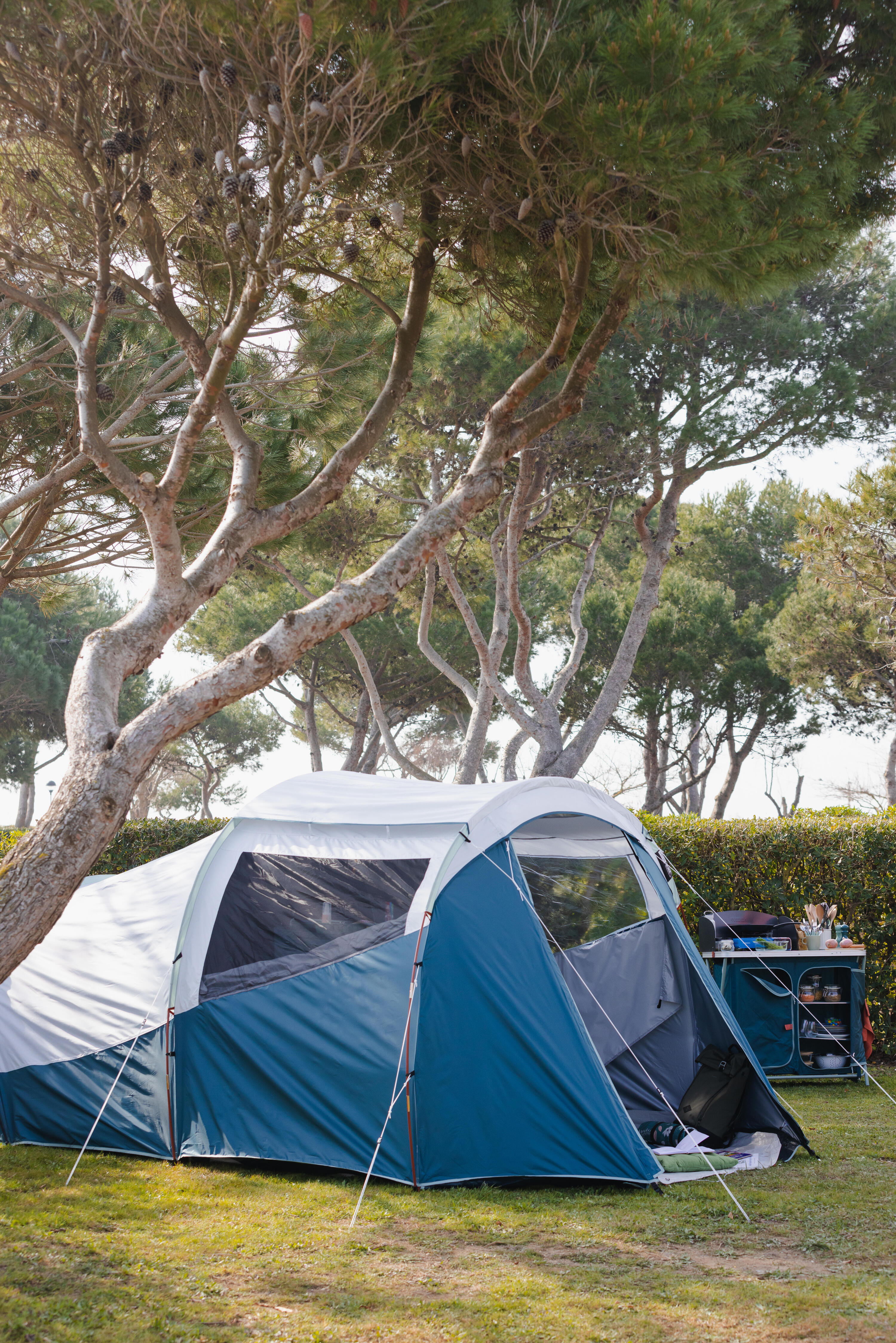 4 Man Blackout Tent With Poles - Arpenaz 4.1 F&B 3/24