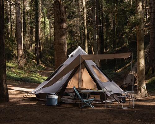 Kamperen bij de boswachter: overnachten in de nederlandse bossen