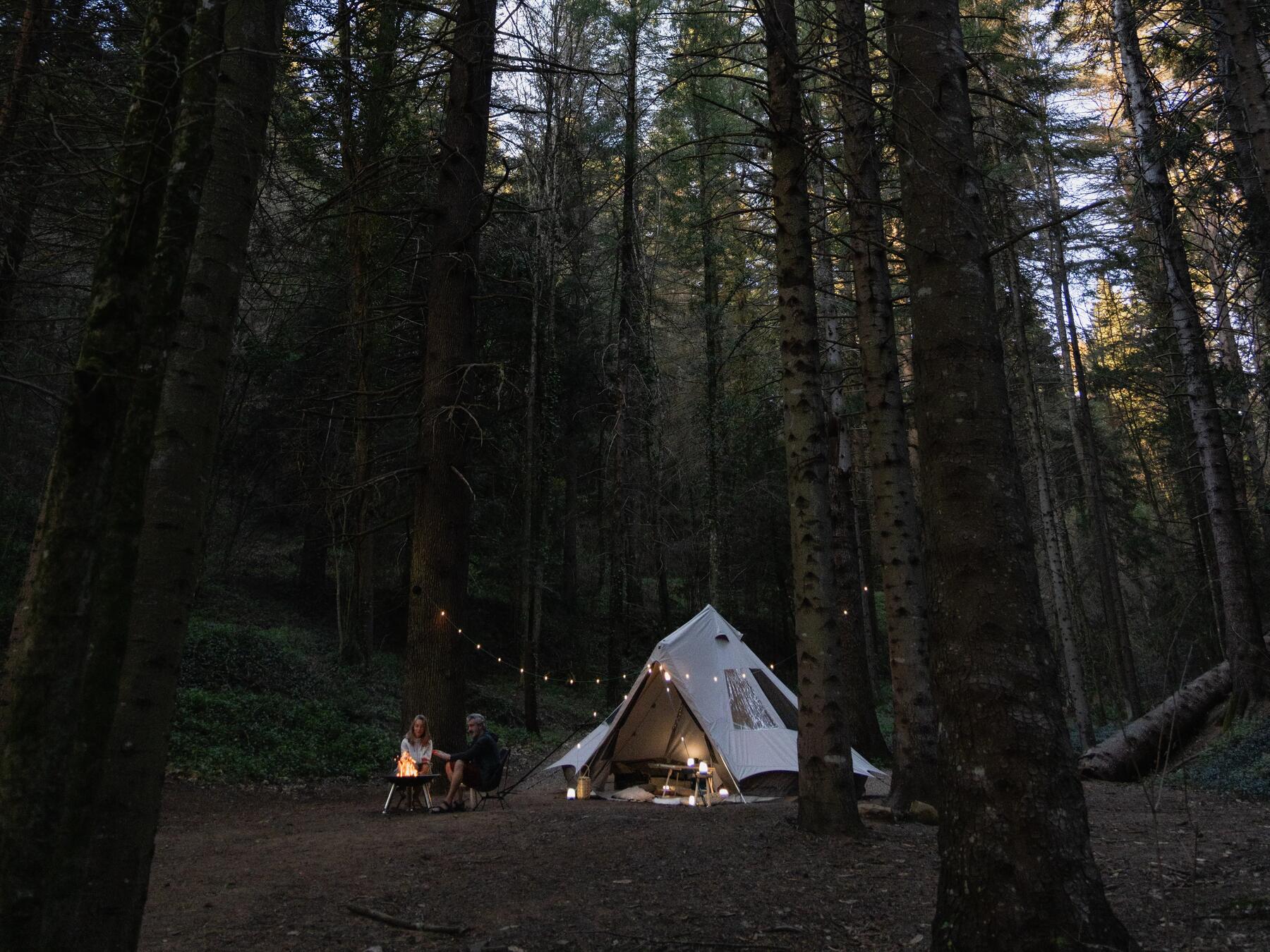 Biwakowicze przygotowani do spania w lesie siedzący wieczorem przed oświetlonym namiotem 