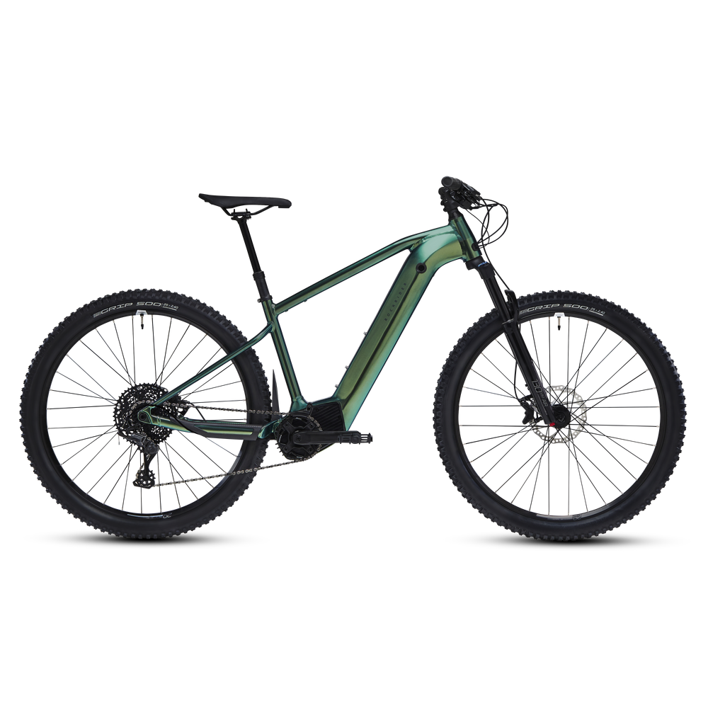 MTB - Rockrider E-ST 520 