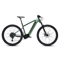 MTB Front Elettrica Performance