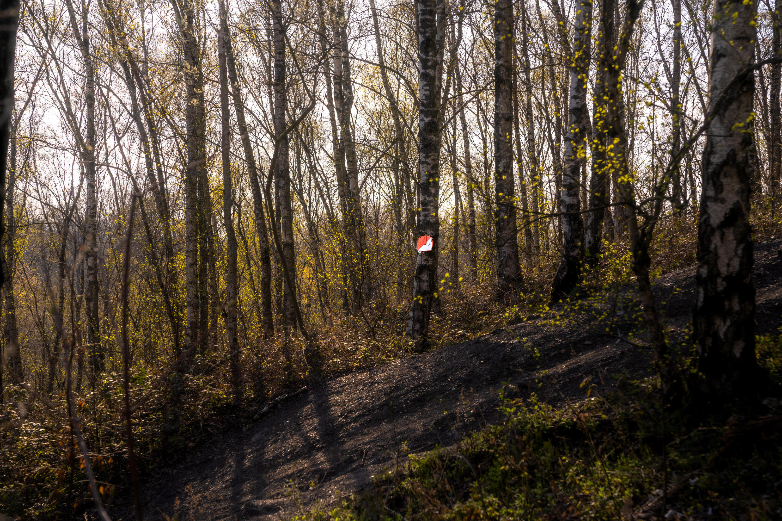 Kit 10 lanterne orienteering con punzonatrice 8/16