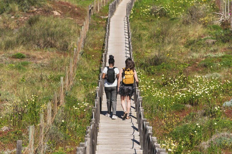 De leukste wandelroutes in Noord-Holland