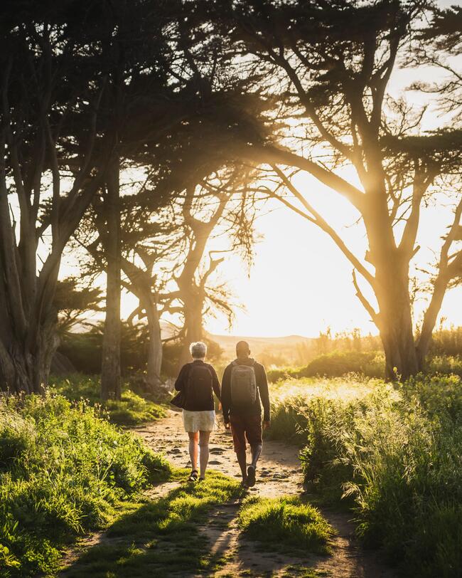 Zwei Personen wandern bei Sonnenuntergang auf einem Waldweg, umgeben von grünen Bäumen und Gras, Sonnenlicht strömt durch die Äste.