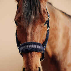 Καπίστρι Comfort για άλογο - Σκούρο μπλε