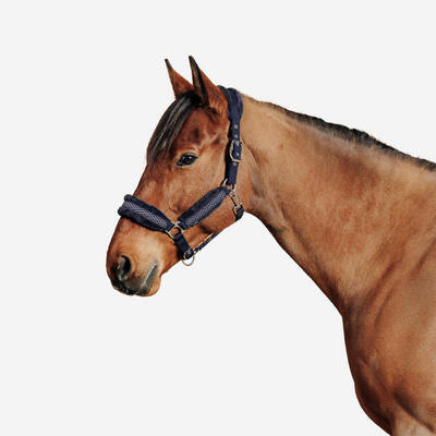 Halster voor paarden comfort blauw zwart