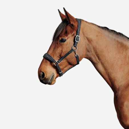 Horse Riding Synthetic Leather Halter for Horse & Pony 500 - Black