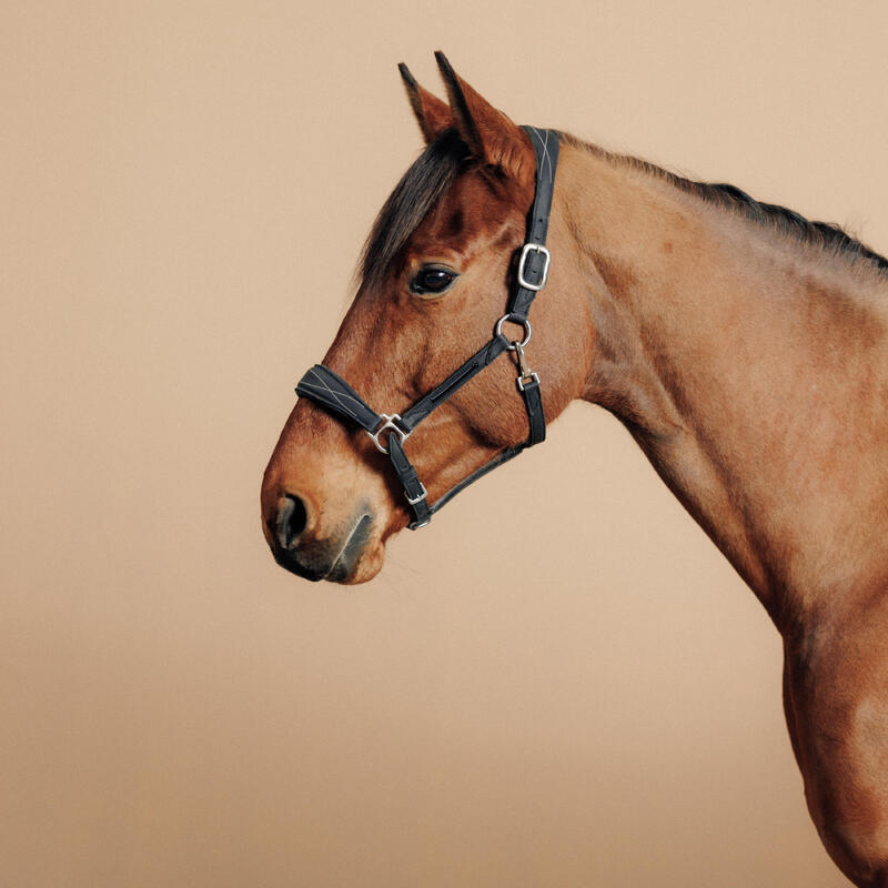 Cabeção em Couro de Equitação para Cavalo e Pónei 500 Preto