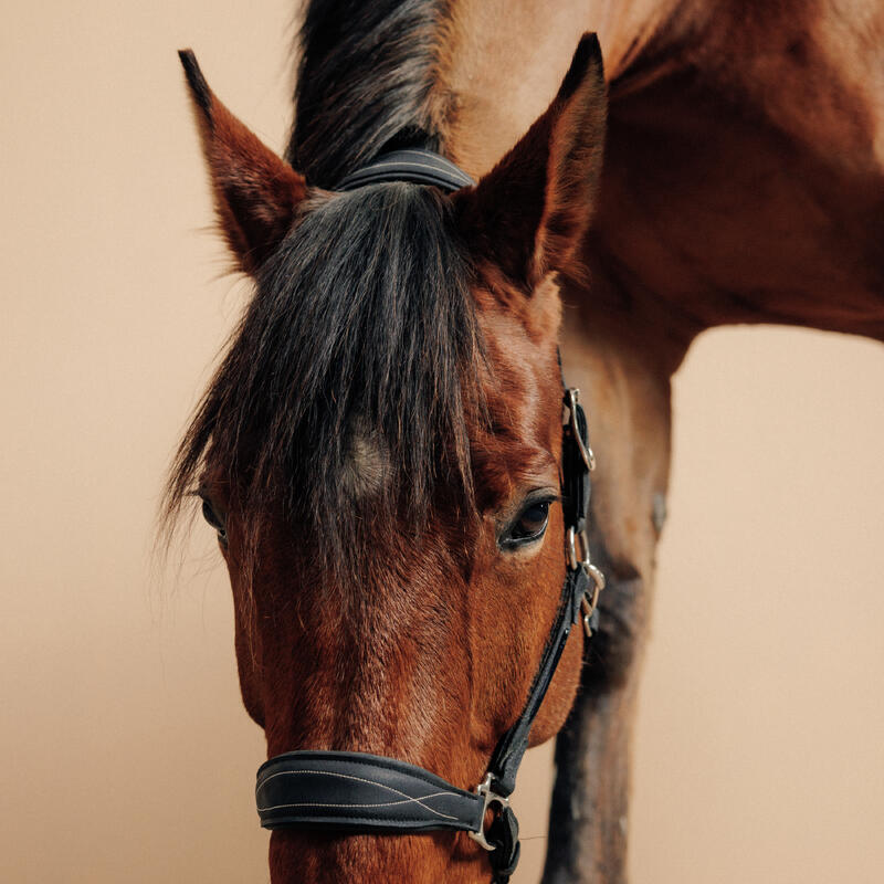 Capezza equitazione pony e cavallo 500 cuoio sintetico nera