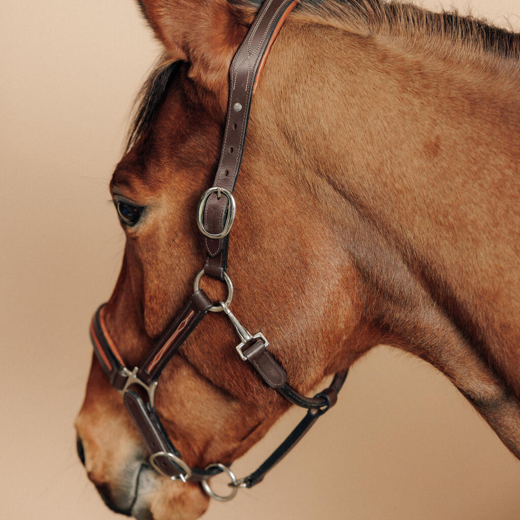 900 Horse Riding Leather Horse/Pony Halter - Brown