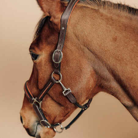 Horse Riding Leather Halter for Horse & Pony 900 - Brown