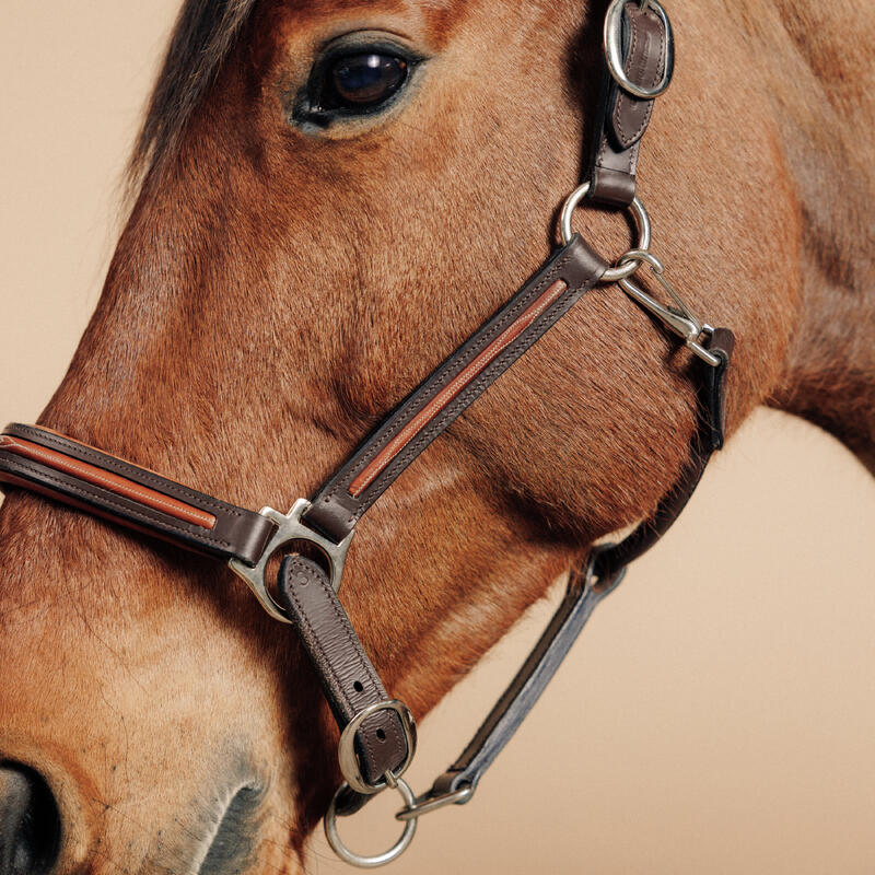 Cabestro equitación fouganza 900 caballo y poni marrón de cuero