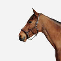 Horse Riding Leather Halter for Horse & Pony 900 - Brown