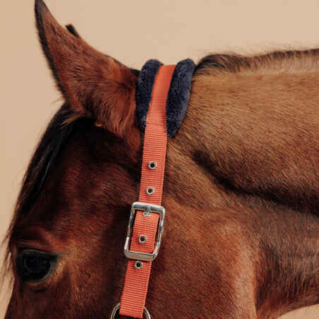 Horse Riding Halter + Leadrope Kit for Horse & Pony Comfort - Terracotta/Blue/Black