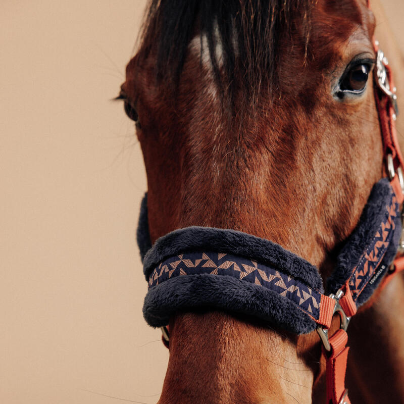 Set halster + halstertouw voor paarden en pony's Comfort terracotta/zwartblauw