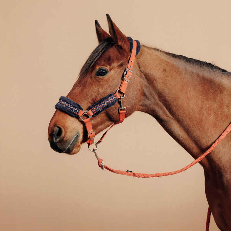 Horse and Pony Riding Halter + Leadrope Kit Comfort - Terracotta/Dark Blue