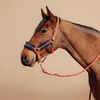 Horse Riding Halter + Leadrope Kit for Horse & Pony Comfort - Terracotta/Blue/Black