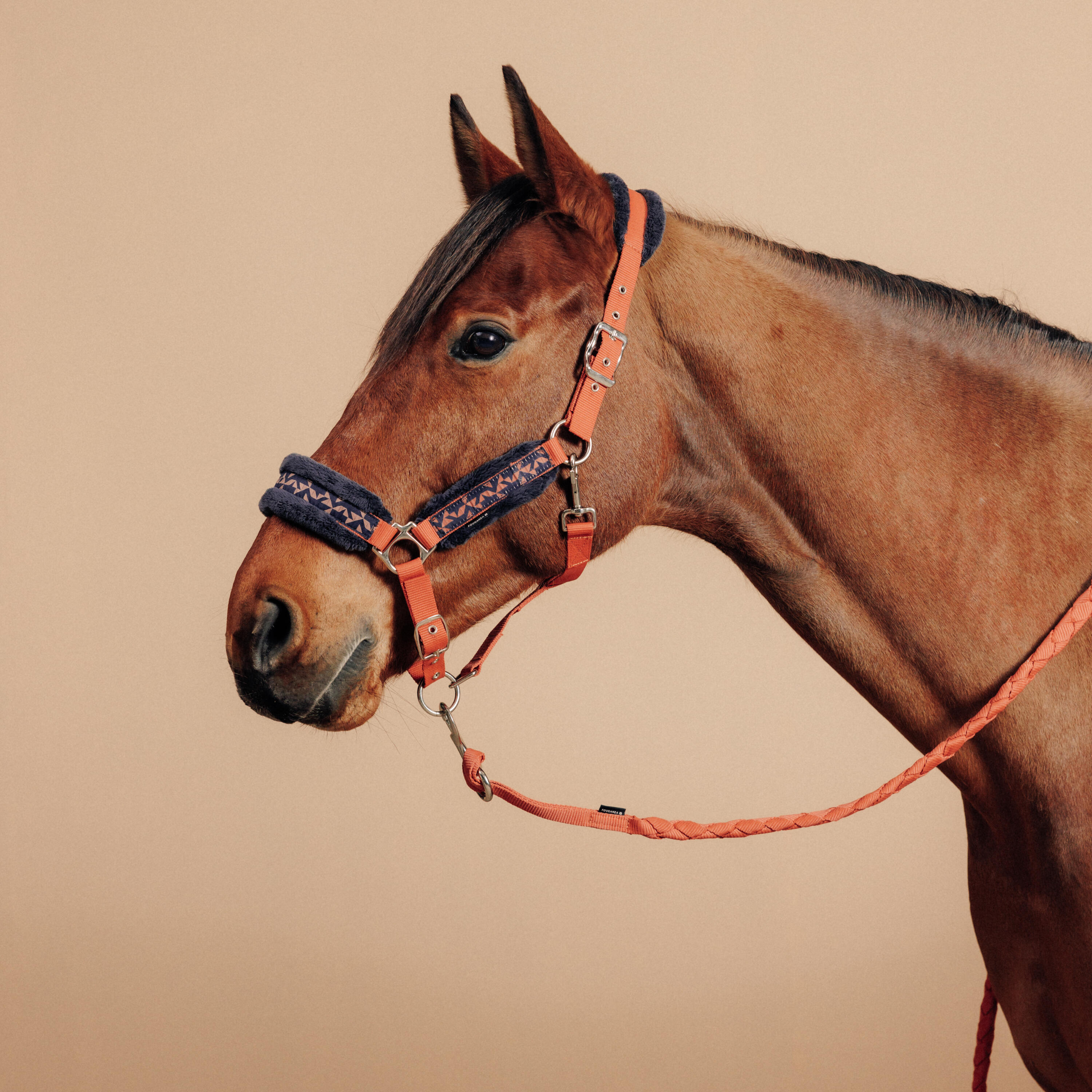 Horse Riding Halter + Leadrope Kit for Horse & Pony Comfort - Terracotta/Blue/Black 1/4