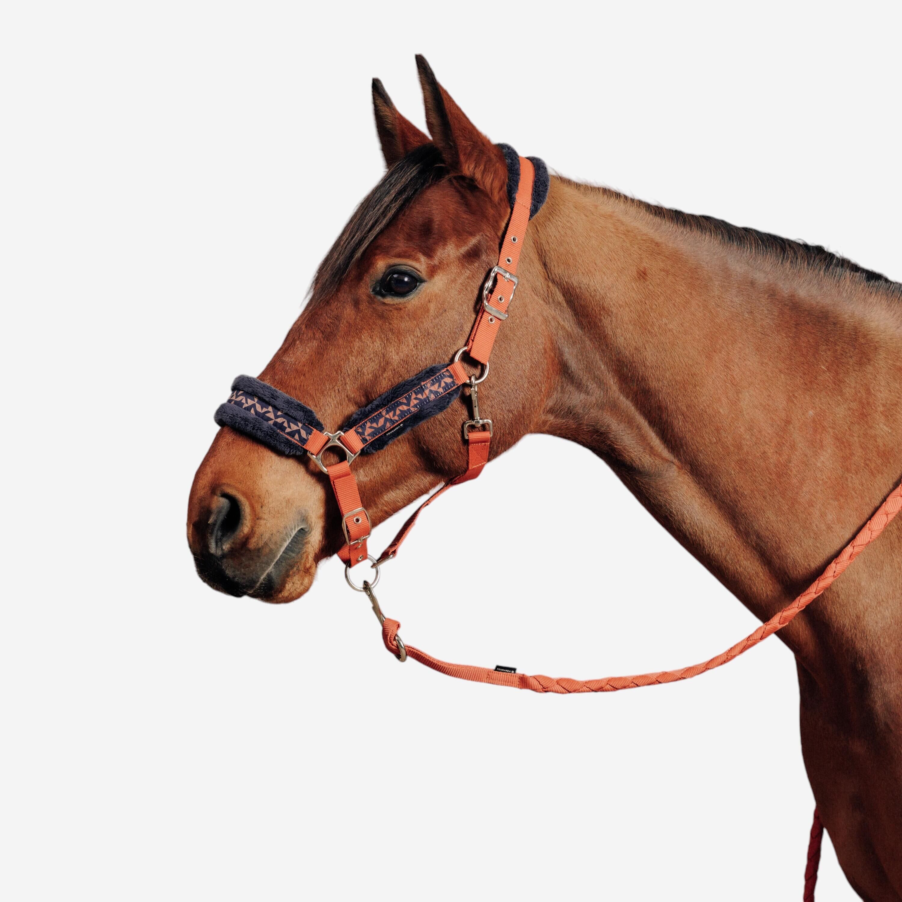 FOUGANZA Horse Riding Halter + Leadrope Kit for Horse & Pony Comfort - Terracotta/Blue/Black