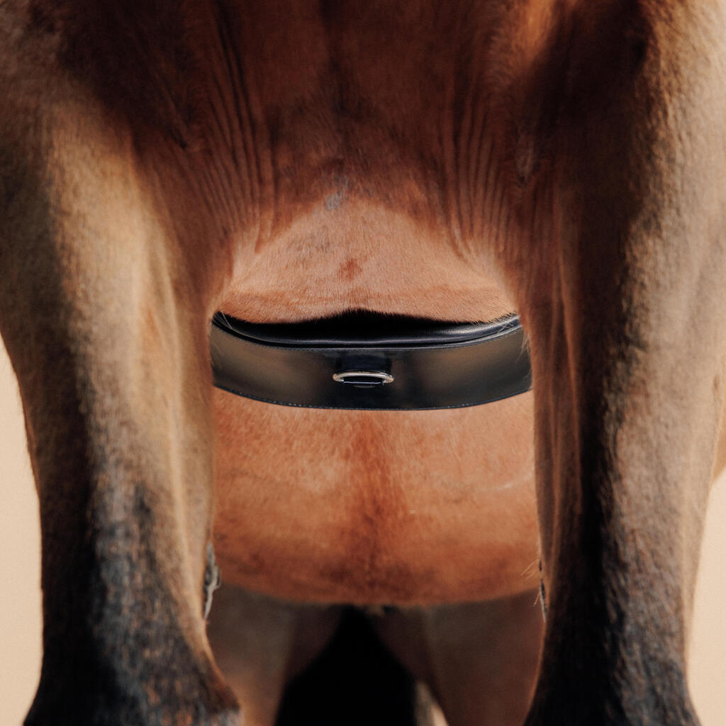 Horse Riding Leather Dressage Girth 900 - Black
