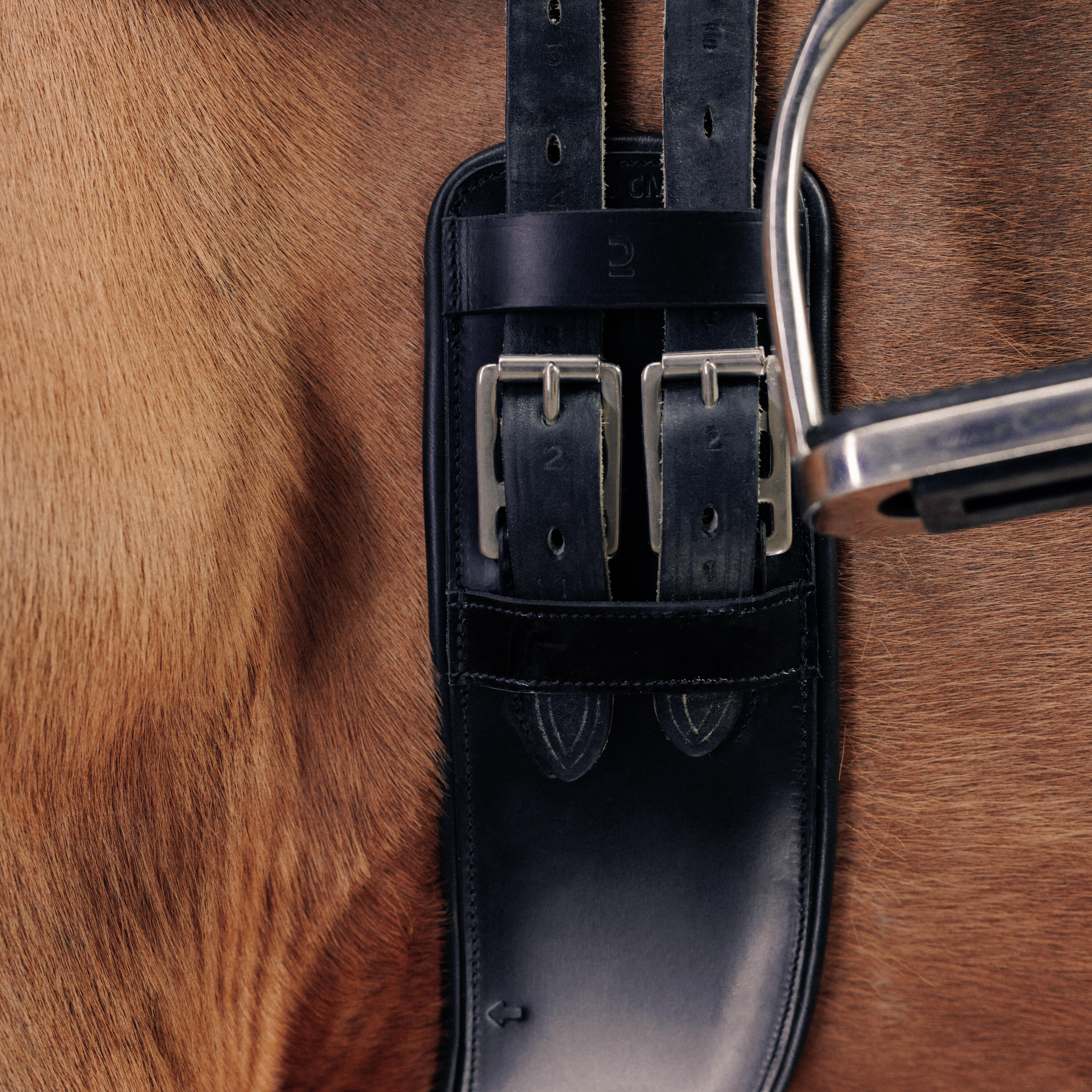 Dressuursingel voor paarden 900 leer zwart 2/4